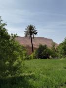 PHOTO-2025-04-10-17-02-12